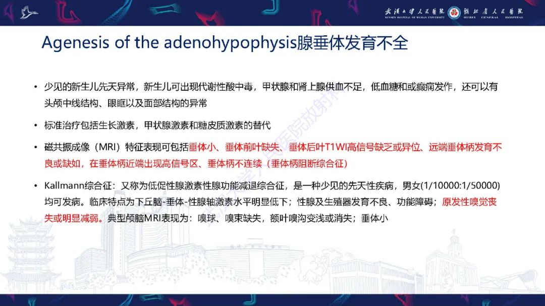 影像PPT - 【PPT】儿童鞍区病变磁共振诊断-13