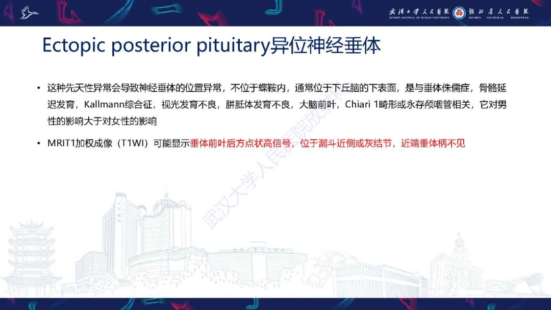 影像PPT - 【PPT】儿童鞍区病变磁共振诊断-15