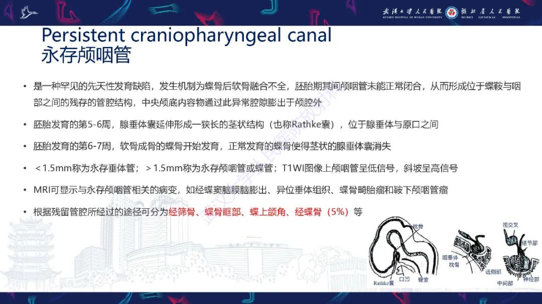 影像PPT - 【PPT】儿童鞍区病变磁共振诊断-22