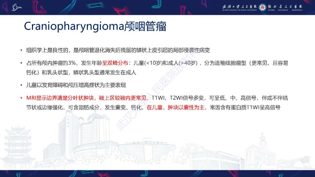 影像PPT - 【PPT】儿童鞍区病变磁共振诊断-36