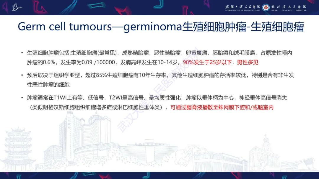 影像PPT - 【PPT】儿童鞍区病变磁共振诊断-42