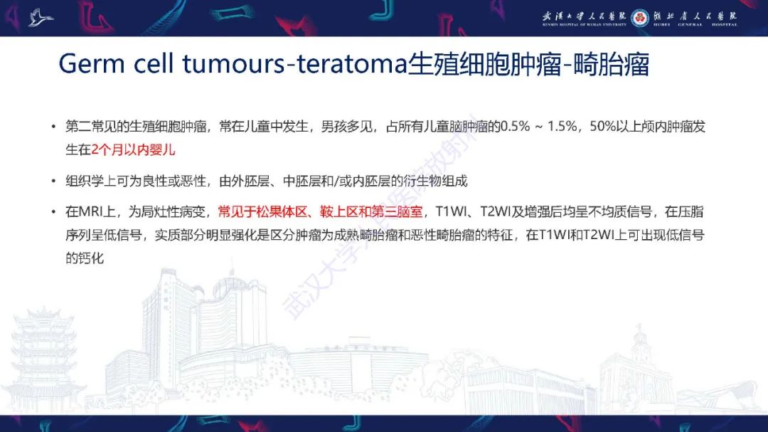 影像PPT - 【PPT】儿童鞍区病变磁共振诊断-44