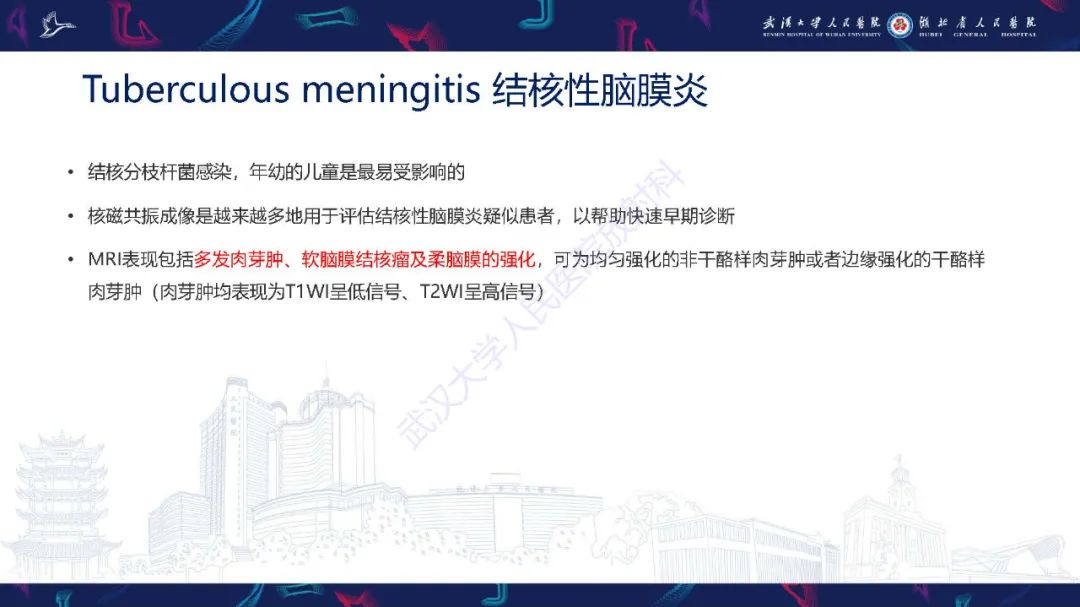 影像PPT - 【PPT】儿童鞍区病变磁共振诊断-46