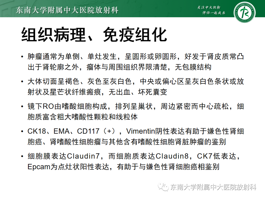 影像PPT - 【PPT】肾嗜酸细胞腺瘤的影像-5