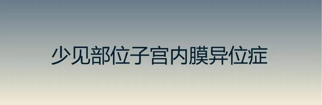 影像PPT - 【PPT】子宫内膜异位症-19