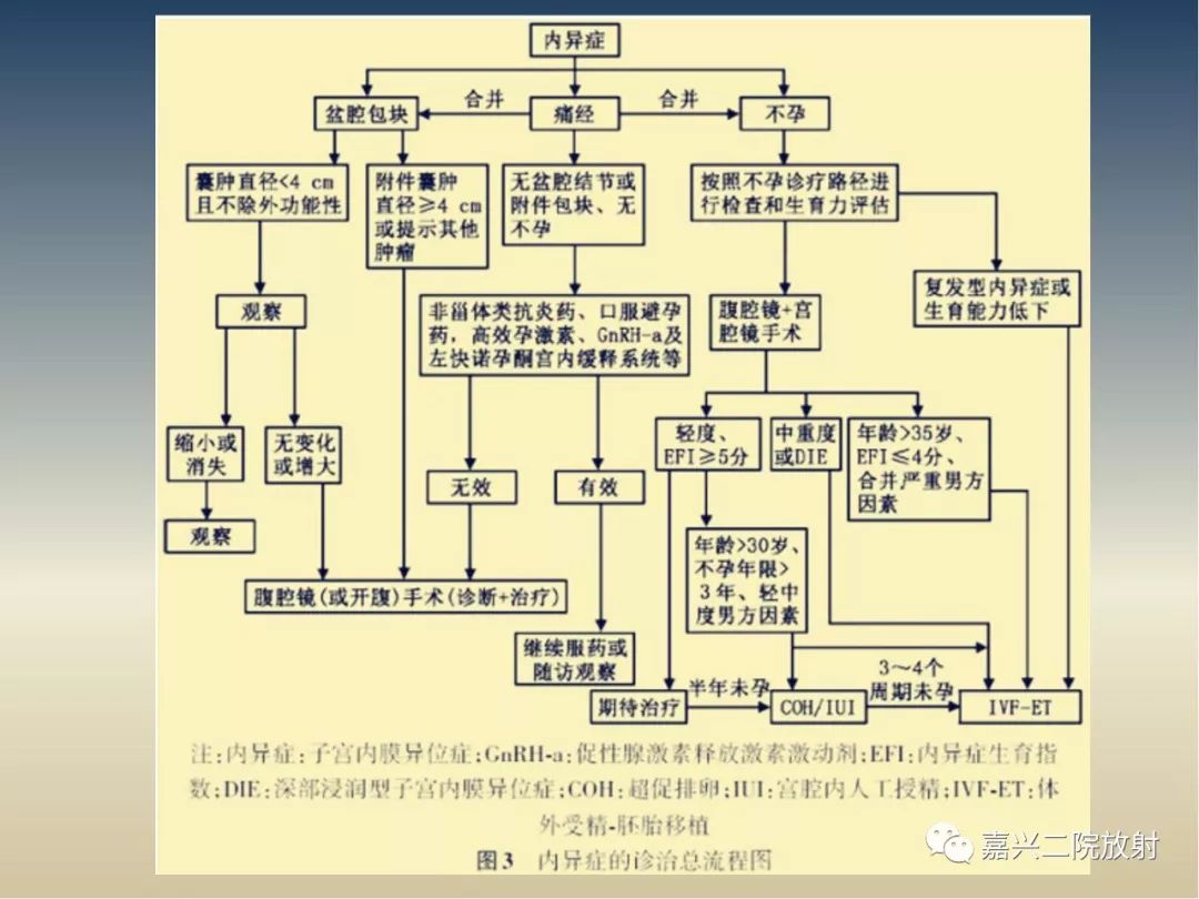影像PPT - 【PPT】子宫内膜异位症-41