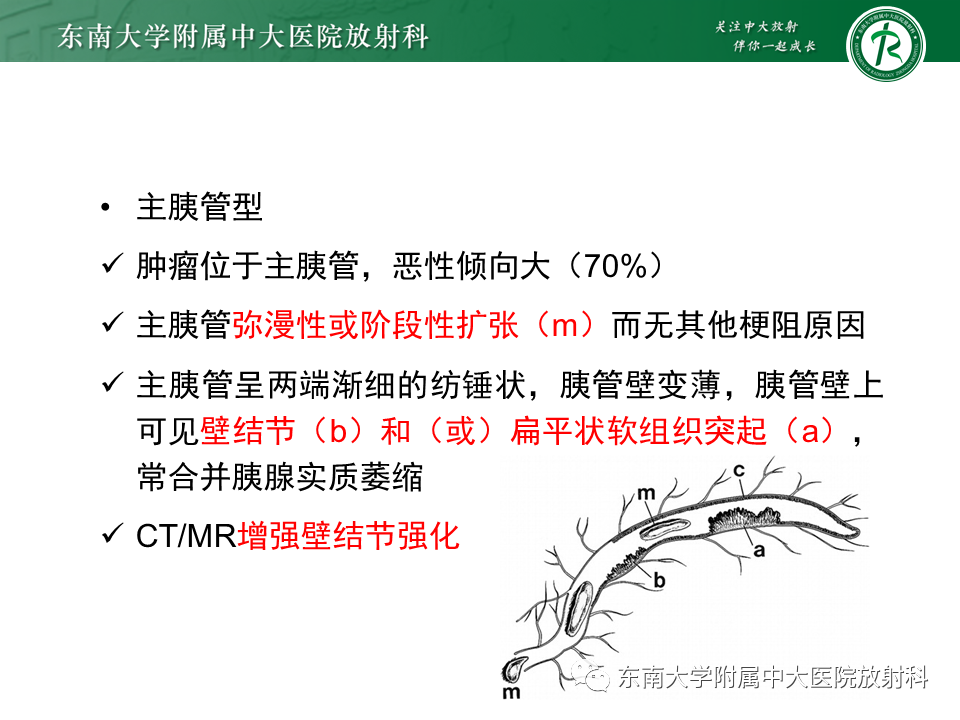 影像PPT - 【PPT】胰腺常见囊性病灶的鉴别诊断-20