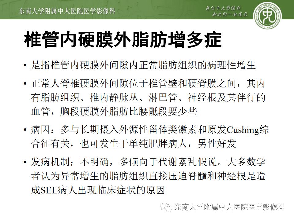 影像PPT - 【PPT】椎管内硬膜外脂肪增多症与终丝脂肪堆积-6