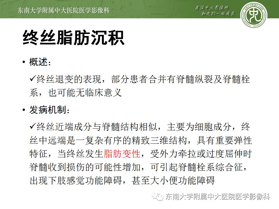 影像PPT - 【PPT】椎管内硬膜外脂肪增多症与终丝脂肪堆积-15