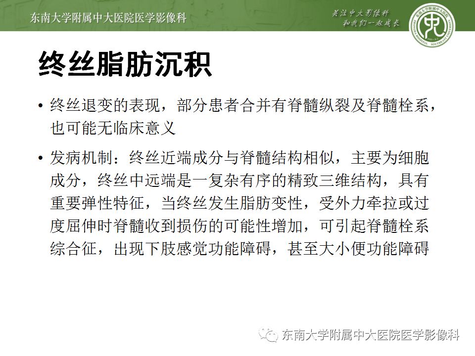 影像PPT - 【PPT】椎管内硬膜外脂肪增多症与终丝脂肪堆积-16