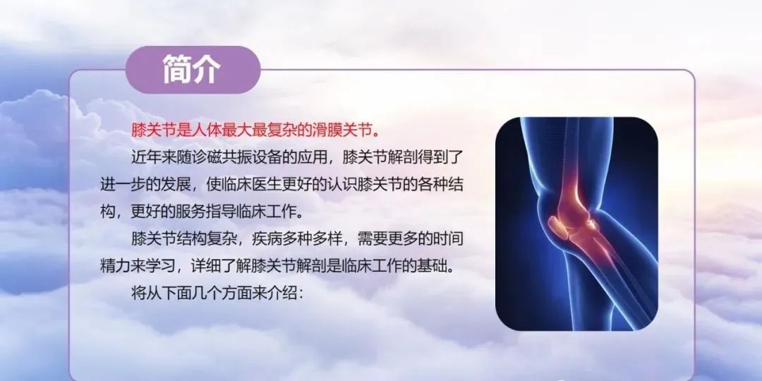 影像PPT - 【PPT】膝关节正常解剖及MR信号特点-2