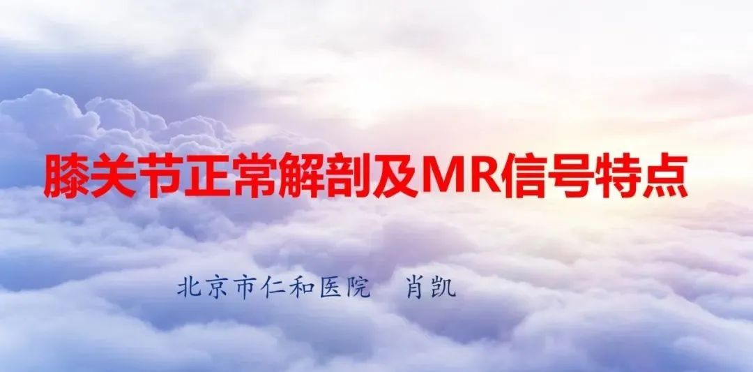 影像PPT - 【PPT】膝关节正常解剖及MR信号特点-1