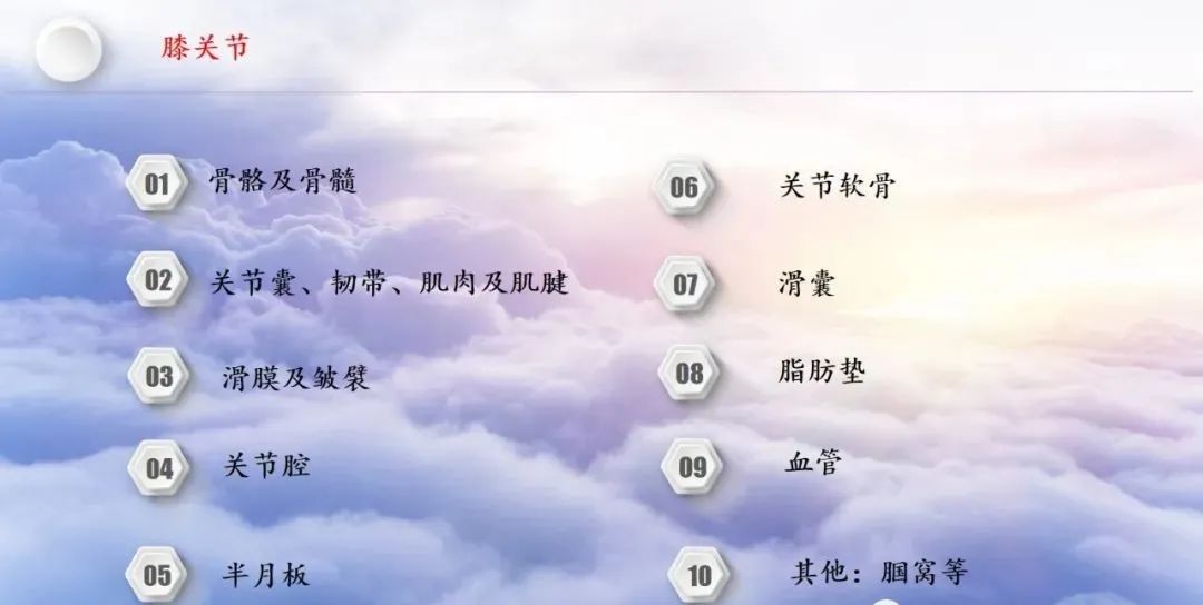 影像PPT - 【PPT】膝关节正常解剖及MR信号特点-3