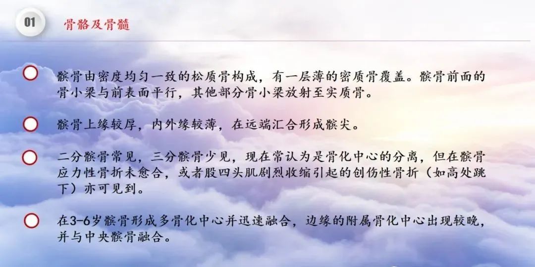 影像PPT - 【PPT】膝关节正常解剖及MR信号特点-8