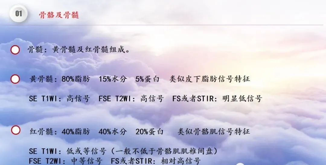 影像PPT - 【PPT】膝关节正常解剖及MR信号特点-11