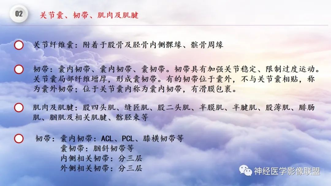 影像PPT - 【PPT】膝关节正常解剖及MR信号特点-13
