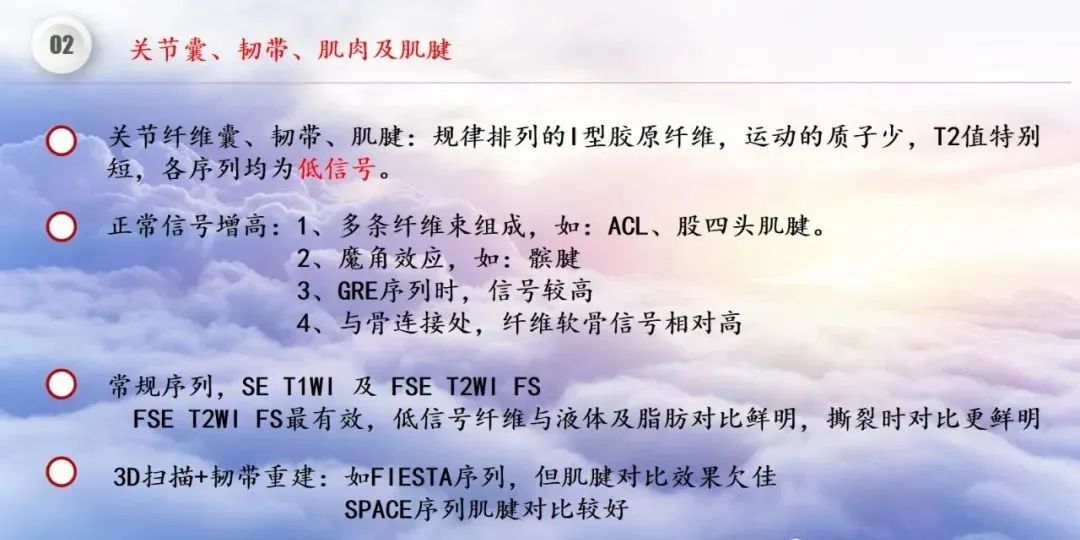影像PPT - 【PPT】膝关节正常解剖及MR信号特点-14