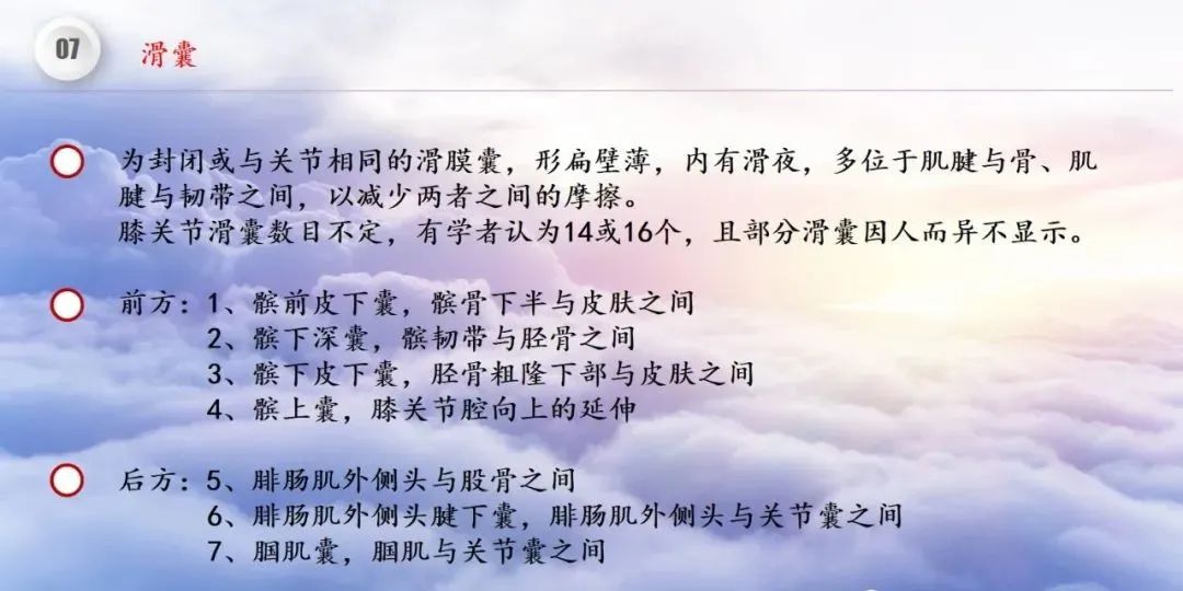 影像PPT - 【PPT】膝关节正常解剖及MR信号特点-51