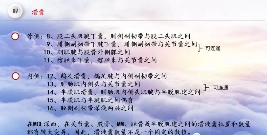 影像PPT - 【PPT】膝关节正常解剖及MR信号特点-52