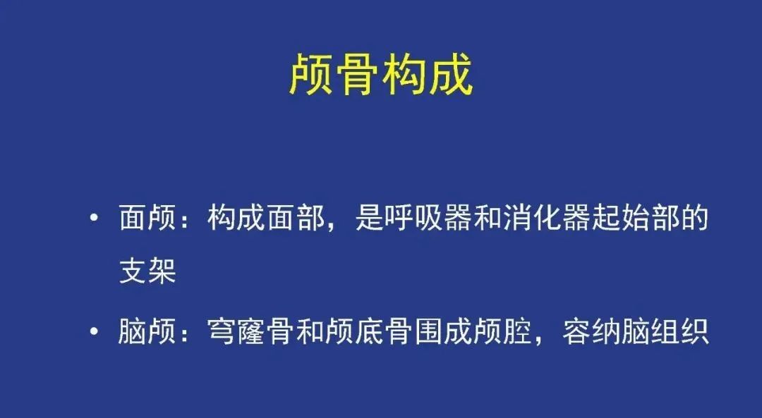 影像PPT - 【PPT】颅穹隆骨正常及常见变异的影像学表现-2
