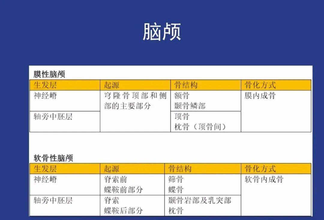 影像PPT - 【PPT】颅穹隆骨正常及常见变异的影像学表现-6