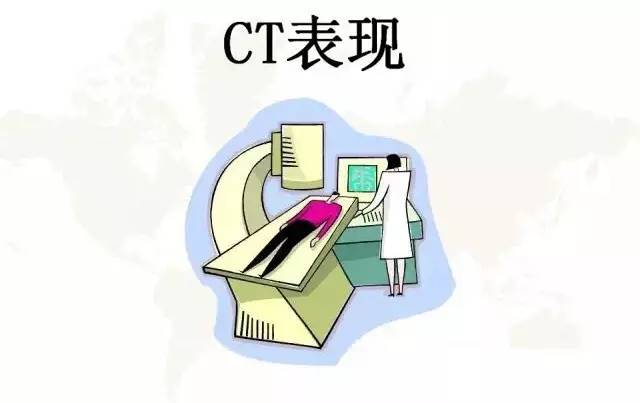 影像PPT - 肺泡解剖结构及肺气肿CT分型-5
