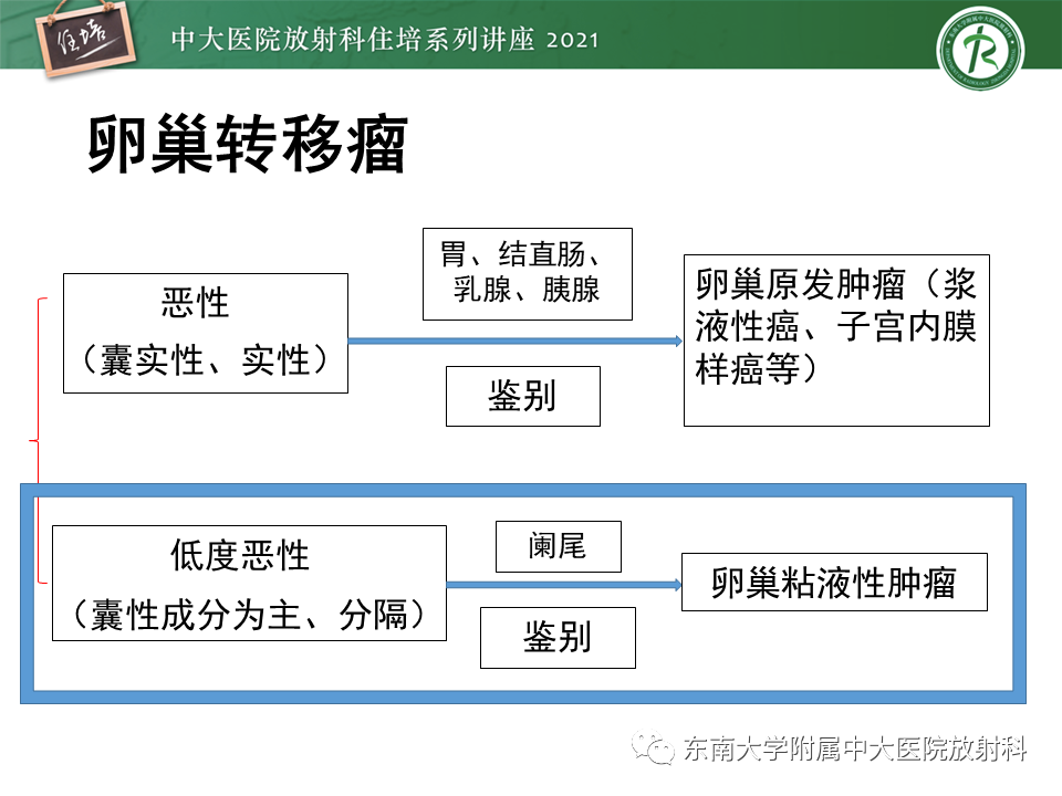 影像PPT - 【PPT】卵巢原发及继发粘液性肿瘤分析思路-10