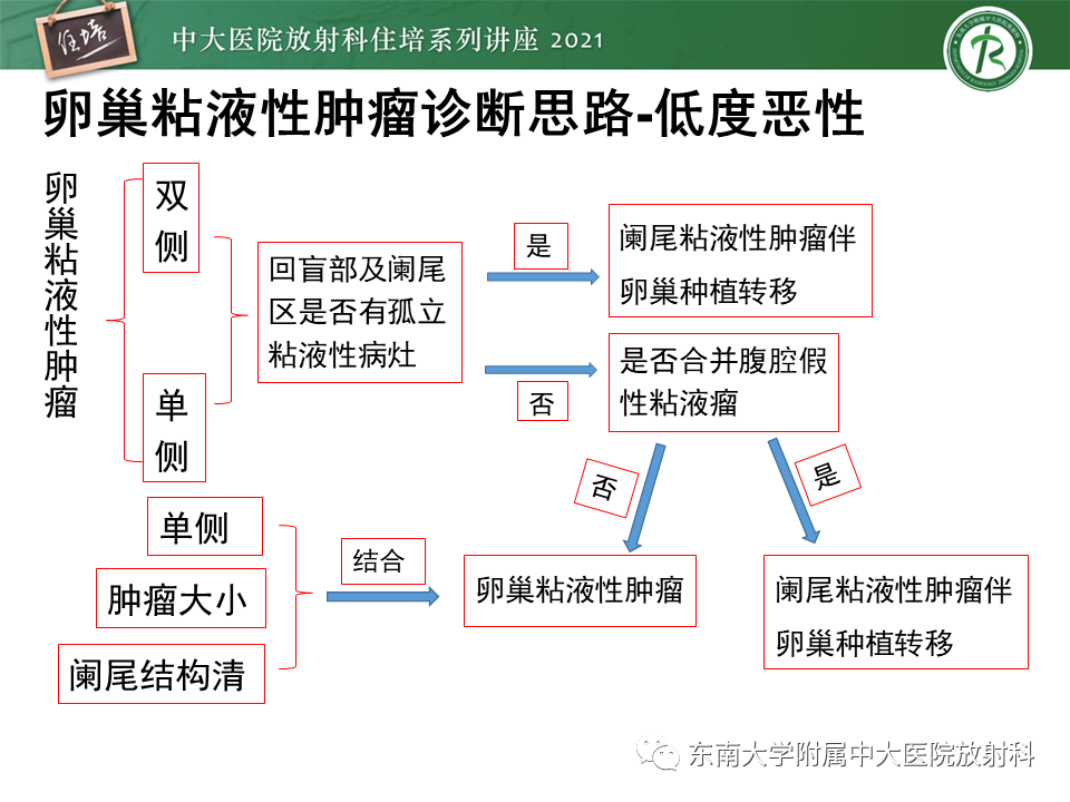 影像PPT - 【PPT】卵巢原发及继发粘液性肿瘤分析思路-21