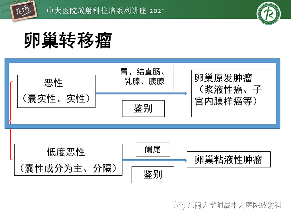 影像PPT - 【PPT】卵巢原发及继发粘液性肿瘤分析思路-31