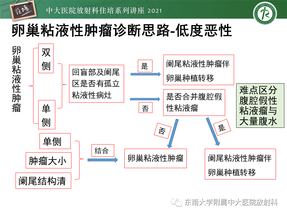 影像PPT - 【PPT】卵巢原发及继发粘液性肿瘤分析思路-32
