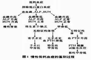 影像PPT - 11种常见代谢性骨病的影像学表现-43 影像PPT - 11种常见代谢性骨病的影像学表现-43