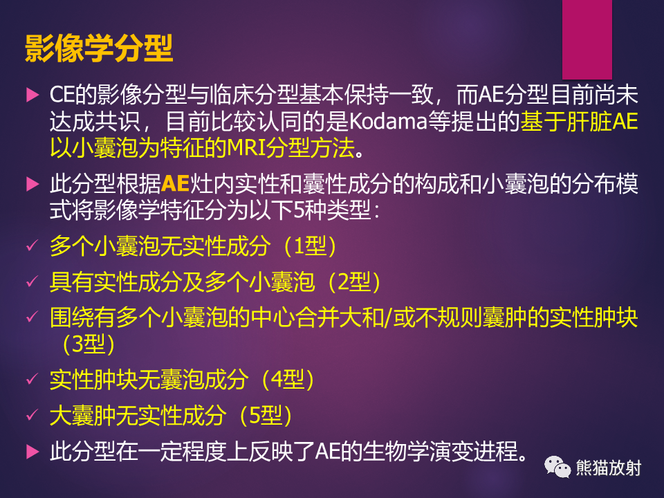 影像PPT - 【PPT】肝包虫病的影像学诊断专家共识-9
