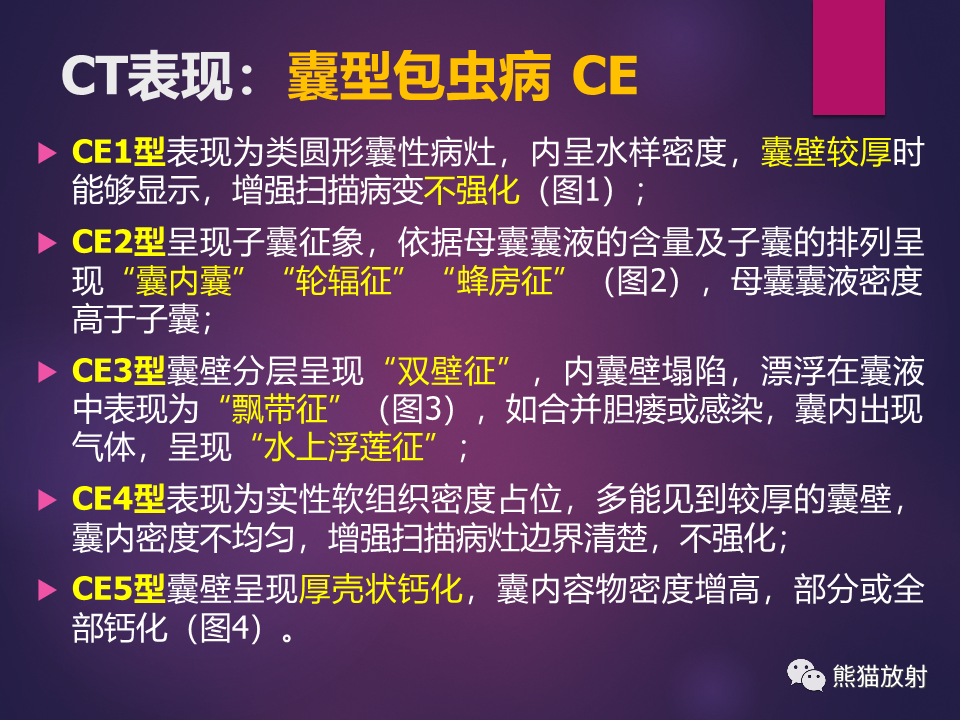影像PPT - 【PPT】肝包虫病的影像学诊断专家共识-10