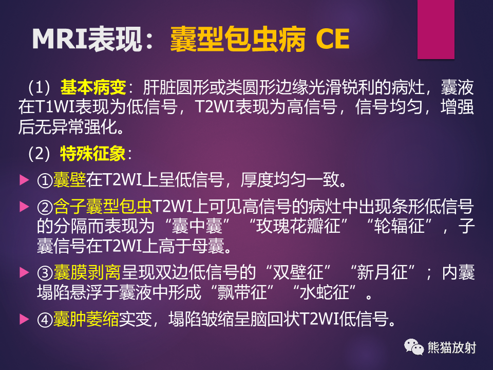 影像PPT - 【PPT】肝包虫病的影像学诊断专家共识-17