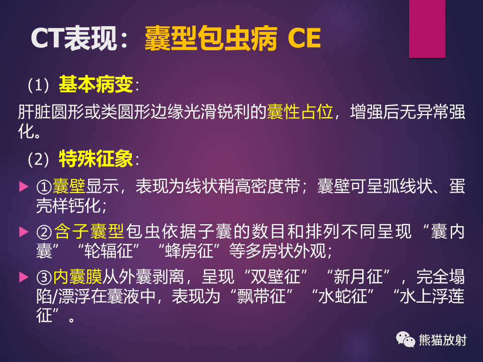 影像PPT - 【PPT】肝包虫病的影像学诊断专家共识-13