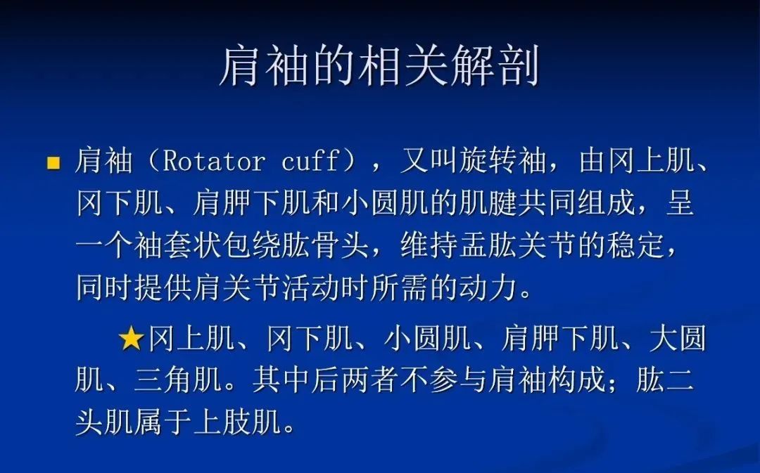 影像PPT - 肩袖解剖及损伤的临床及MRI诊断-26 影像PPT - 肩袖解剖及损伤的临床及MRI诊断-26