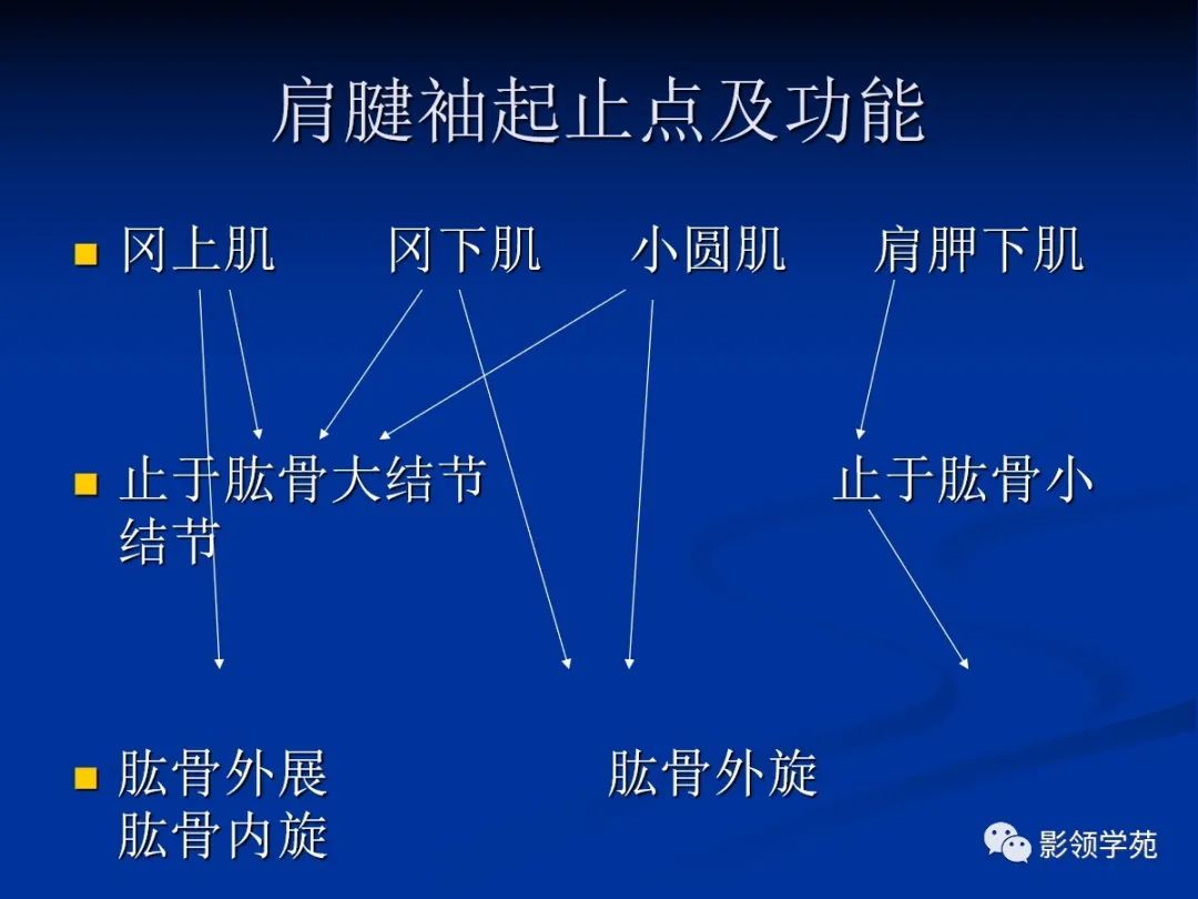 影像PPT - 肩袖解剖及损伤的临床及MRI诊断-29 影像PPT - 肩袖解剖及损伤的临床及MRI诊断-29