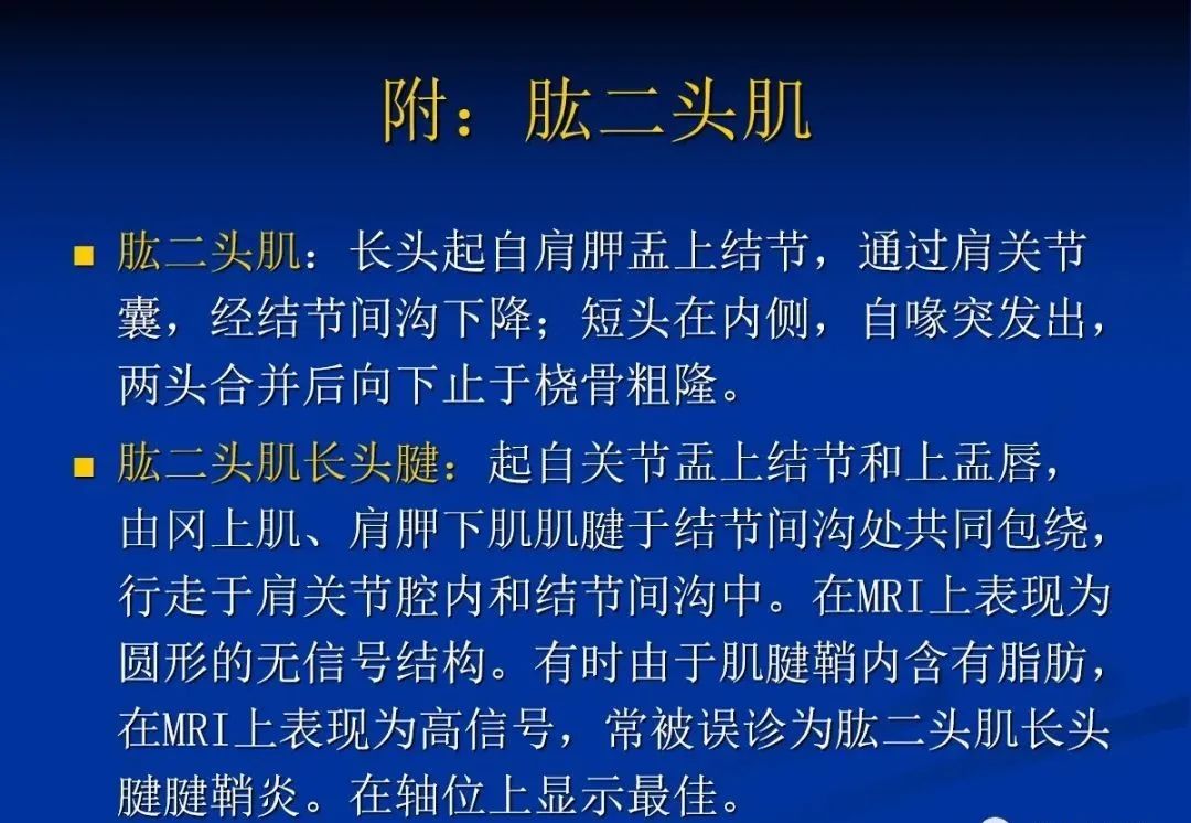 影像PPT - 肩袖解剖及损伤的临床及MRI诊断-40 影像PPT - 肩袖解剖及损伤的临床及MRI诊断-40