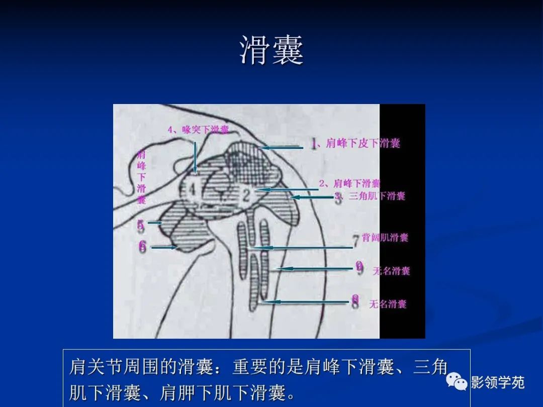 影像PPT - 肩袖解剖及损伤的临床及MRI诊断-67 影像PPT - 肩袖解剖及损伤的临床及MRI诊断-67