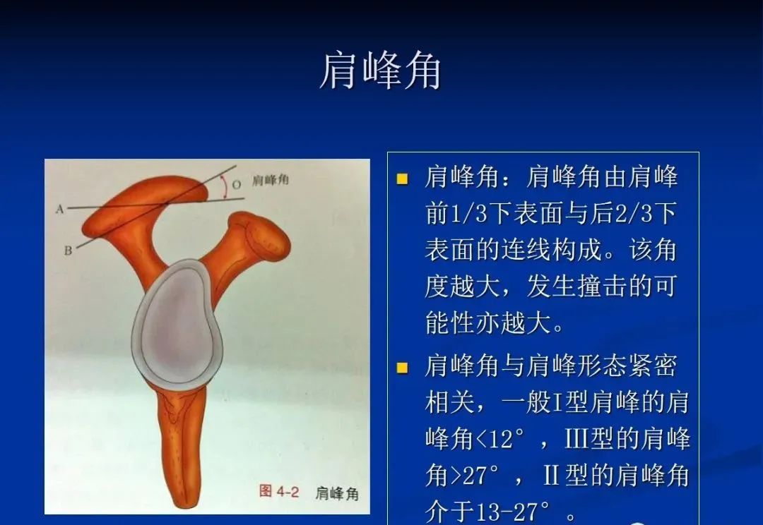 影像PPT - 肩袖解剖及损伤的临床及MRI诊断-102 影像PPT - 肩袖解剖及损伤的临床及MRI诊断-102