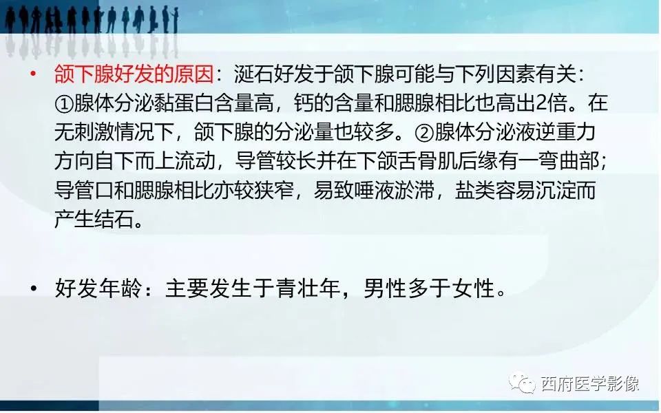 影像PPT - 【PPT】涎石症的影像诊断-18