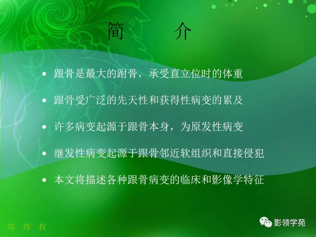 影像PPT - 【PPT】跟骨:正常与变异-2 影像PPT - 【PPT】跟骨:正常与变异-2