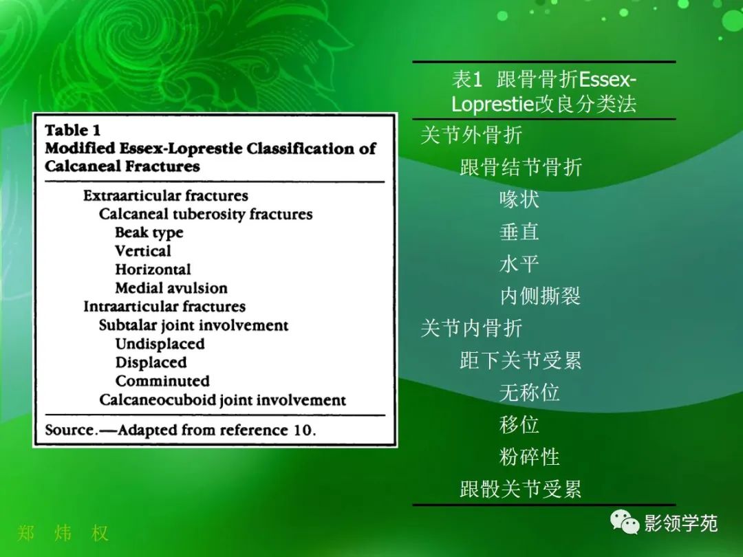 影像PPT - 【PPT】跟骨:正常与变异-10 影像PPT - 【PPT】跟骨:正常与变异-10