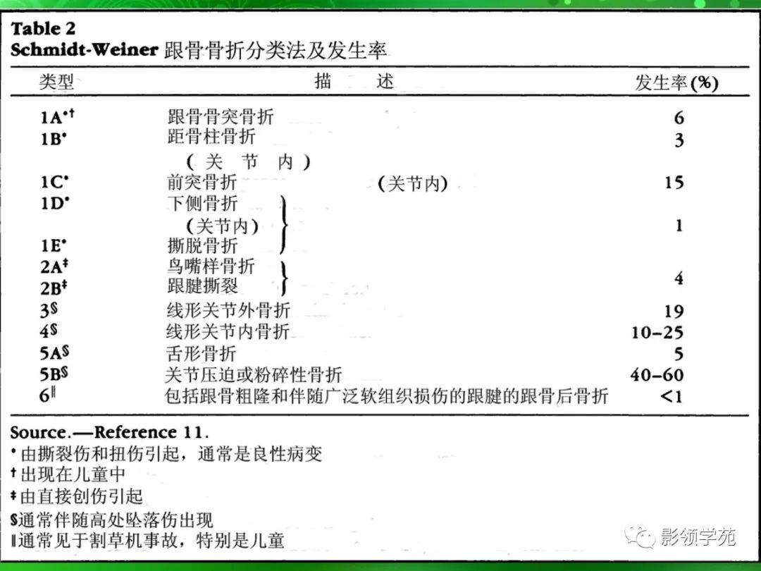 影像PPT - 【PPT】跟骨:正常与变异-12 影像PPT - 【PPT】跟骨:正常与变异-12