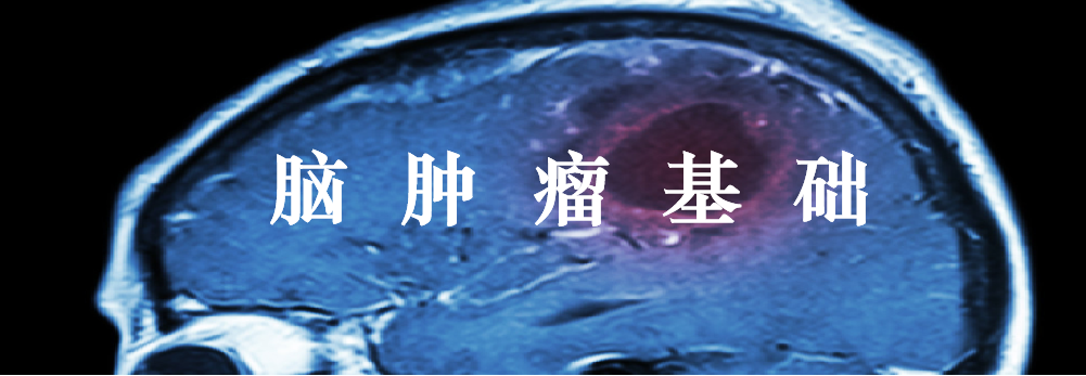 影像PPT - 【PPT】脑肿瘤基础：血脑屏障、强化、水肿-1