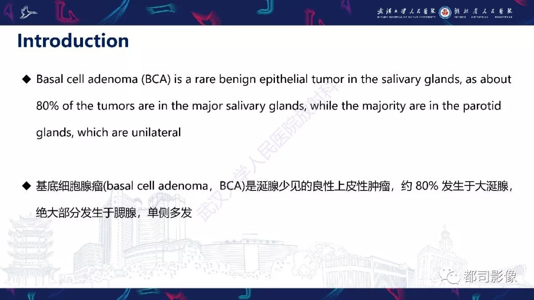 影像PPT - 【PPT】腮腺基底细胞腺瘤影像诊断-6