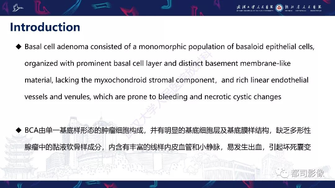 影像PPT - 【PPT】腮腺基底细胞腺瘤影像诊断-7