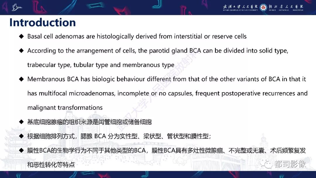 影像PPT - 【PPT】腮腺基底细胞腺瘤影像诊断-9