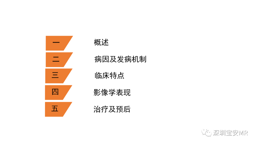 影像PPT - 【PPT】可逆性后部脑病综合征-17