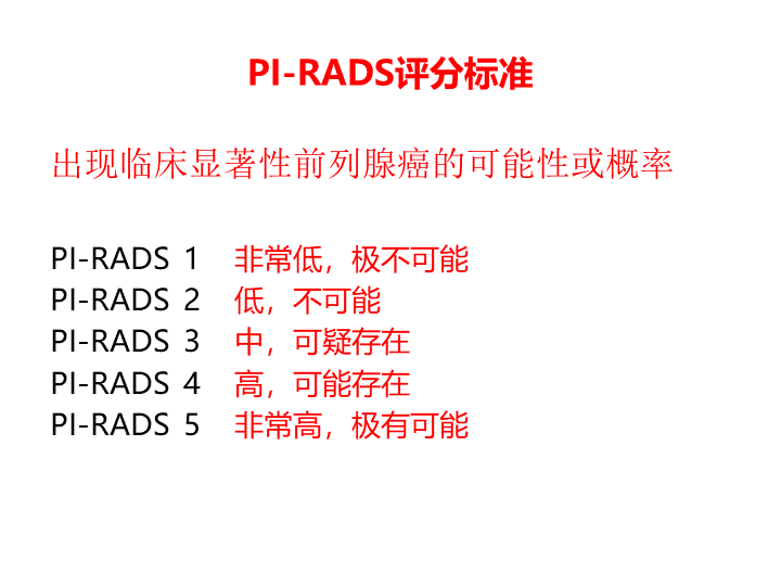 影像PPT - 【PPT】前列腺影像报告和数据系统-32